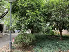 华江一村,精致两房拎包入住,门口小学临近商圈,地铁口600米