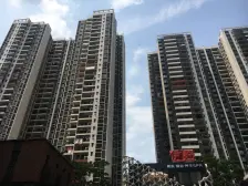 电梯实用2房,可望千灯湖,视野开豁,产权清晰