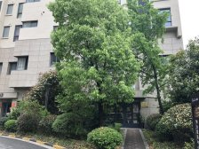 中信泰富一期视野开阔,满五税少二个房间空间大