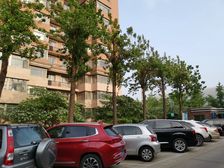 芳古园二区2室1厅南北