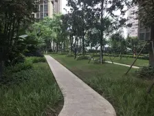 融侨 金辉城春上南滨三房180万