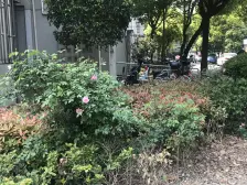 中楼层 满五 户型方正 近地铁