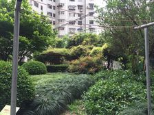 此房三房户型,不靠马路,高区视野好采光好