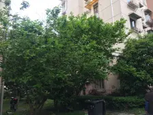 满五,南北边套大三房采光没问题,交通方便生活配套齐