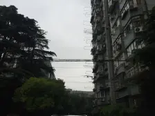 江湾 · 凉**区 · 3室 · 1厅