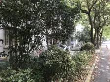 泗塘八村2室东朝向185.00万元/套出售