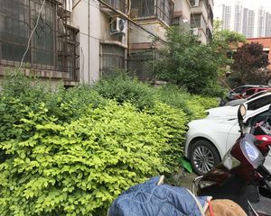 健康西路7号院3室1厅南