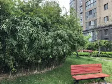 纯毛坯,三年出来一套,嘉定新城大平层,从未住过人