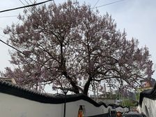 下甸2室1厅南北