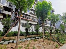 鲁谷村 4室2厅 南 北