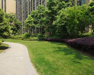 保利新天地2室1厅东南