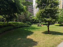 保利香槟国际 1室1厅 东