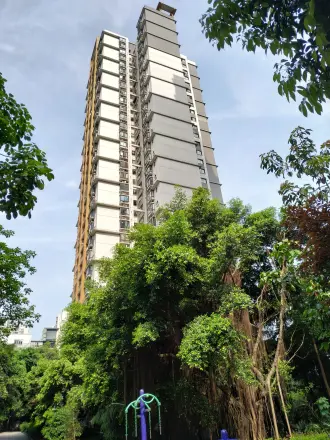 光华风和日丽实景图