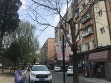 玉桥北里2室1厅南北