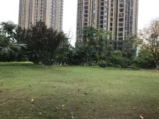 南滨路金辉品质小区,精装住家,离轻轨站近,生活方便