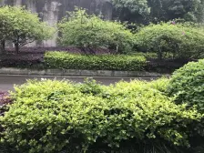 光电路 双子星座二房76万