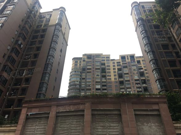 星海岸实景图