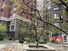 福园精装好房 全明户型 北能 看湖景