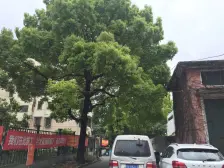 江湾 · 车站北路507弄 · 1室 · 1厅