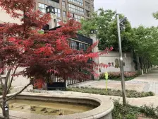 常发豪庭国际4室1厅2卫南朝向600.00万元/套出售