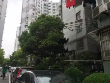 凉二小区 1室1厅 南