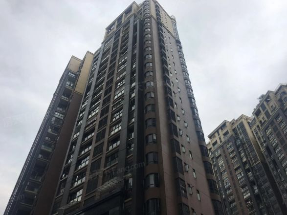 星海岸实景图