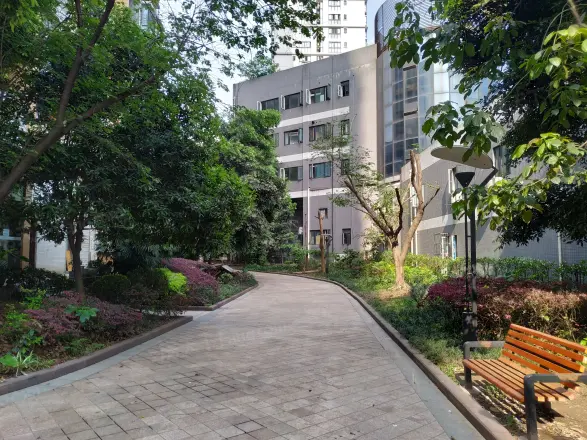 光华风和日丽实景图