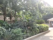 三和南锦 1室1厅 东