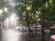 阳光充足 户型方正 位置安静 出入便捷