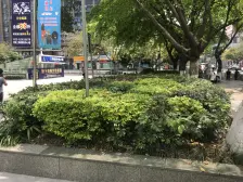 南坪 福天大厦三房82万