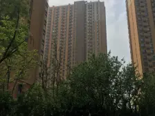 万科物业 业主自住精装有车位地下室