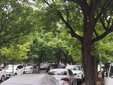 南北通透H格局,满五唯一,不临街视野宽阔,采光充足