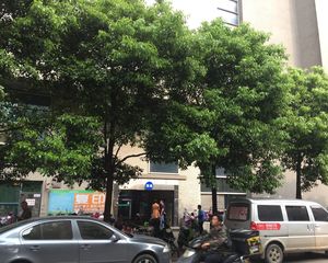 东一国际1室0厅西