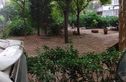 同仁园实景图