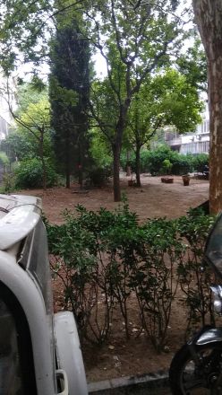 同仁园实景图