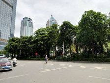 房子是小两房,采光好,楼层适合,通风好,看房方便..