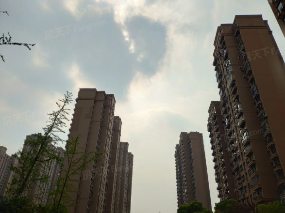 粤秀名邸实景图