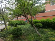 全明户型 双南两房 位置安静 刚需必看