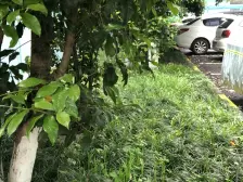 产权清晰 入住快,无抵押 新上房源