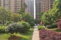三景华御实景图