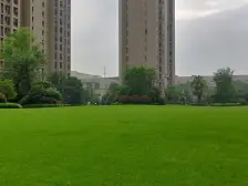 出入方便,人车分流,新力商场,南向公园