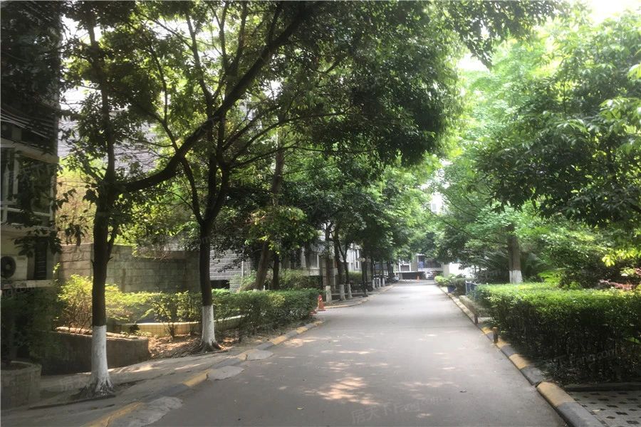 小区相关图