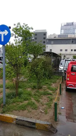 宋家庄家园实景图