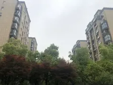 梧桐墅新上好房 独栋别墅 毛坯随心装 前后都有花园 看房方便