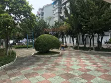 师范的高素质人都在这,中间楼层,满五v一