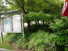 近地铁 无抵押 精装,产权清晰,必看好房