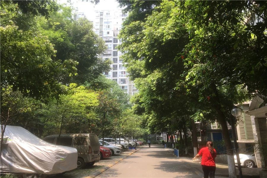 小区相关图