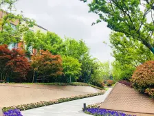 西边套四房~开发商统一精装修~看房随时~保养好