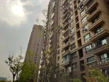 粤秀名邸新上双南两房户型 诚心卖 看房方便。