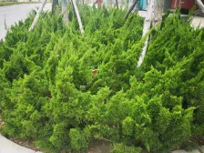 百年港湾B区 1室1厅 南 西南